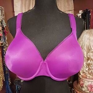 Curvation Purple Bra 42D